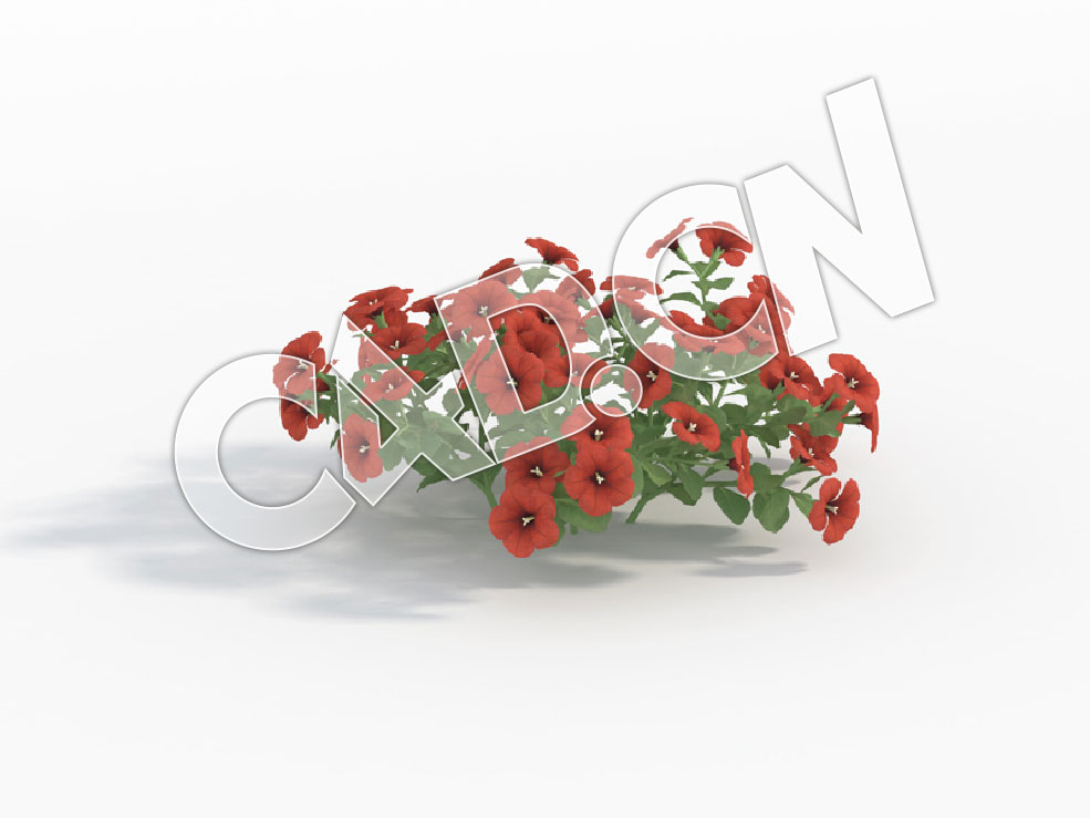 C4D红色矮牵牛花模型 Petunia_E - C4D之家 - 86.jpg