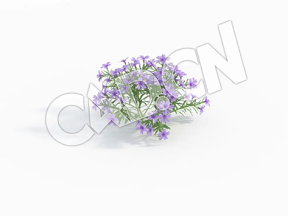 C4D天蓝绣球丛生福禄考花卉模型 Phlox_B - C4D之家 - 93.jpg