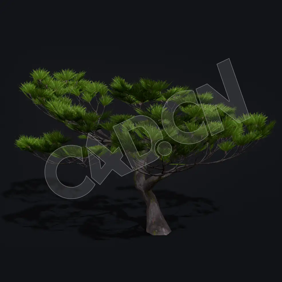 C4D景观松树模型 Kitbash3d-Shangri-La_MatsuPine_A_grp - C4D之家 - 37.jpg