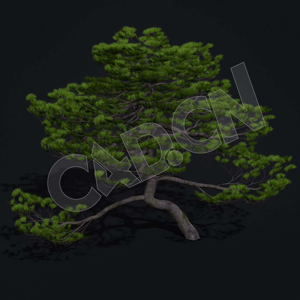 C4D松树模型 Kitbash3d-Shangri-La_MatsuPine_C_grp - C4D之家 - 39.jpg