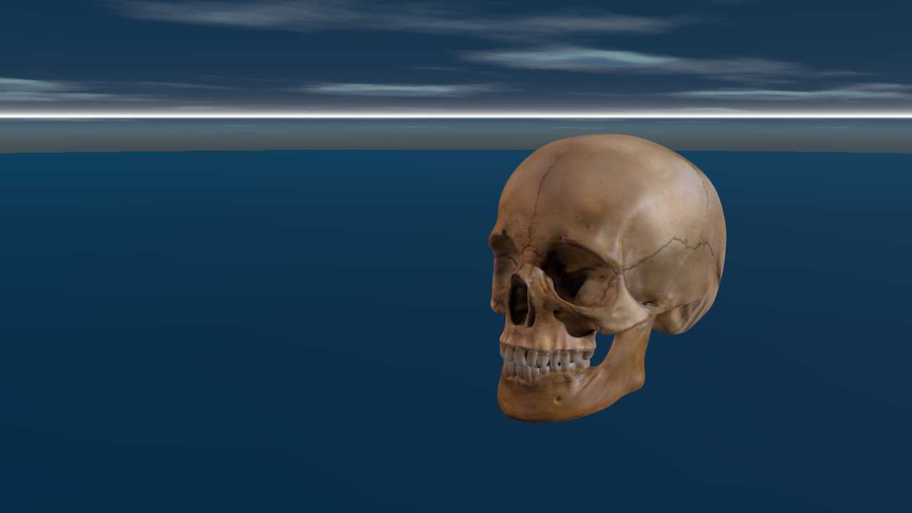 骷髅头模型 - C4D之家 - 12140_Skull_v3_L21.png