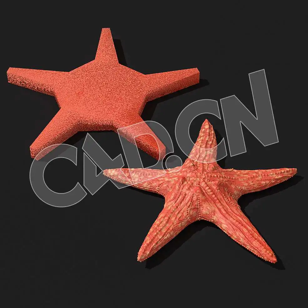 C4D海星模型 Starfish 3d model