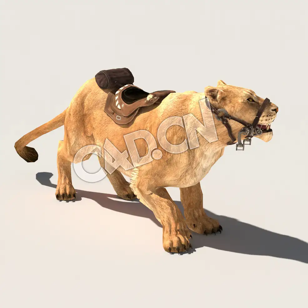 C4D母狮子雌狮模型（包含骨骼绑定动画) LionF 3D Model