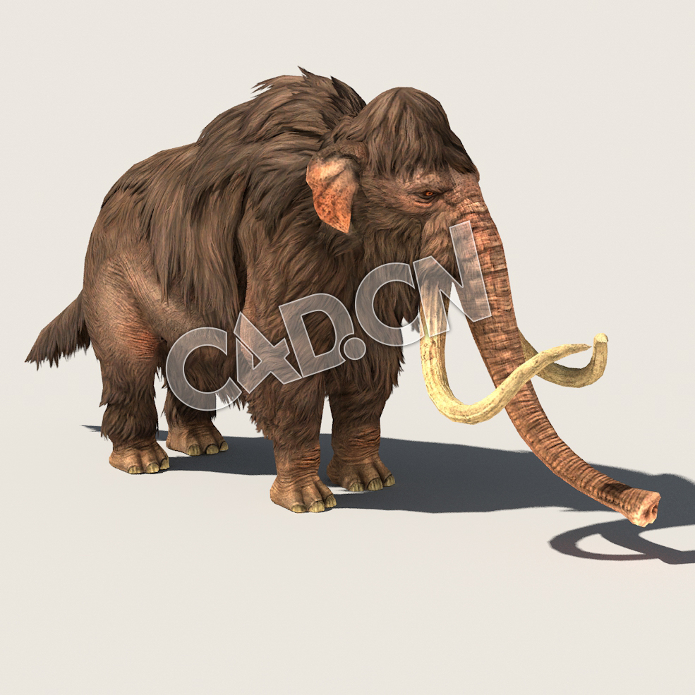 C4D猛犸象模型（包含骨骼绑定动画) Mammoth 3D Model - C4D之家 - 05.jpg