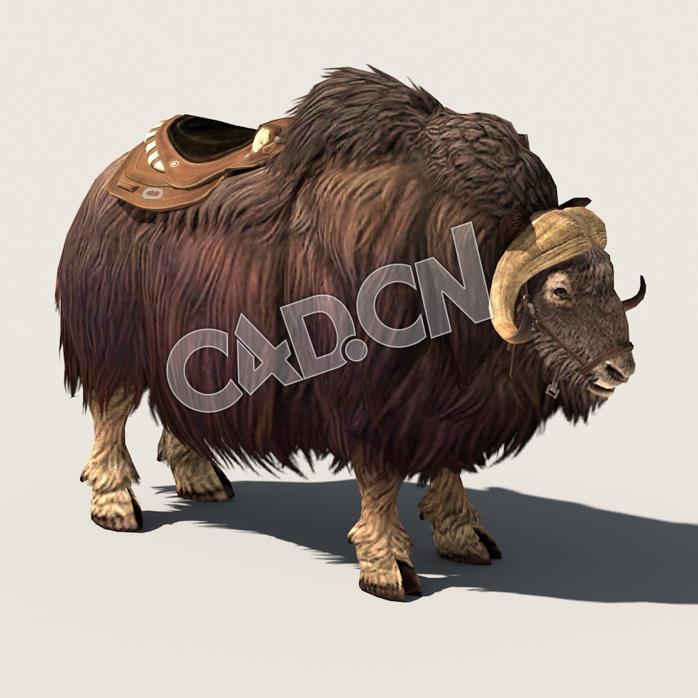 C4D麝牛模型（包含骨骼绑定动画) MuskCow 3D Model - C4D之家 - 06.jpg