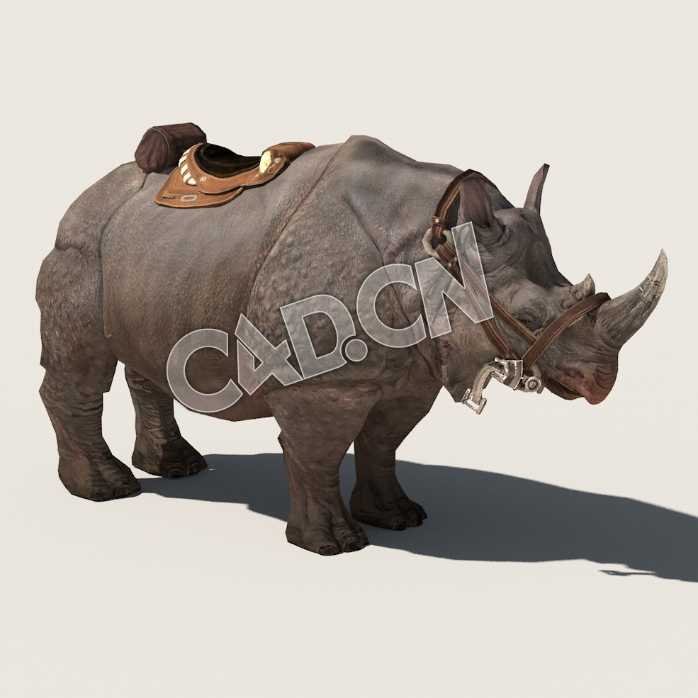 C4D犀牛模型（包含骨骼绑定动画) Rhino_A01 3D Model