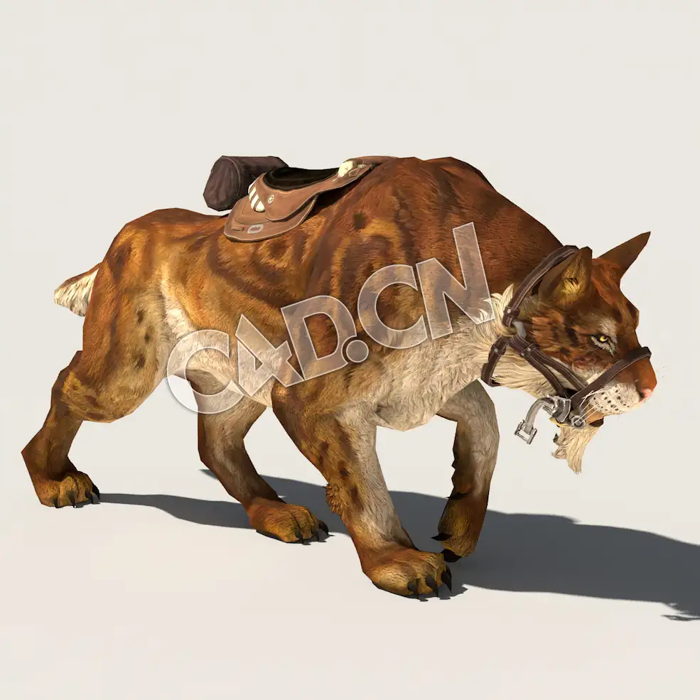 C4D老虎模型（包含骨骼绑定动画) ToothTiger 3D Model