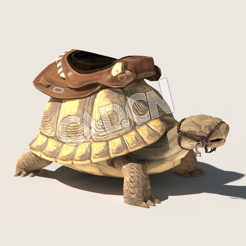 C4D乌龟模型（包含骨骼绑定动画) Turtle_BC 3D Model