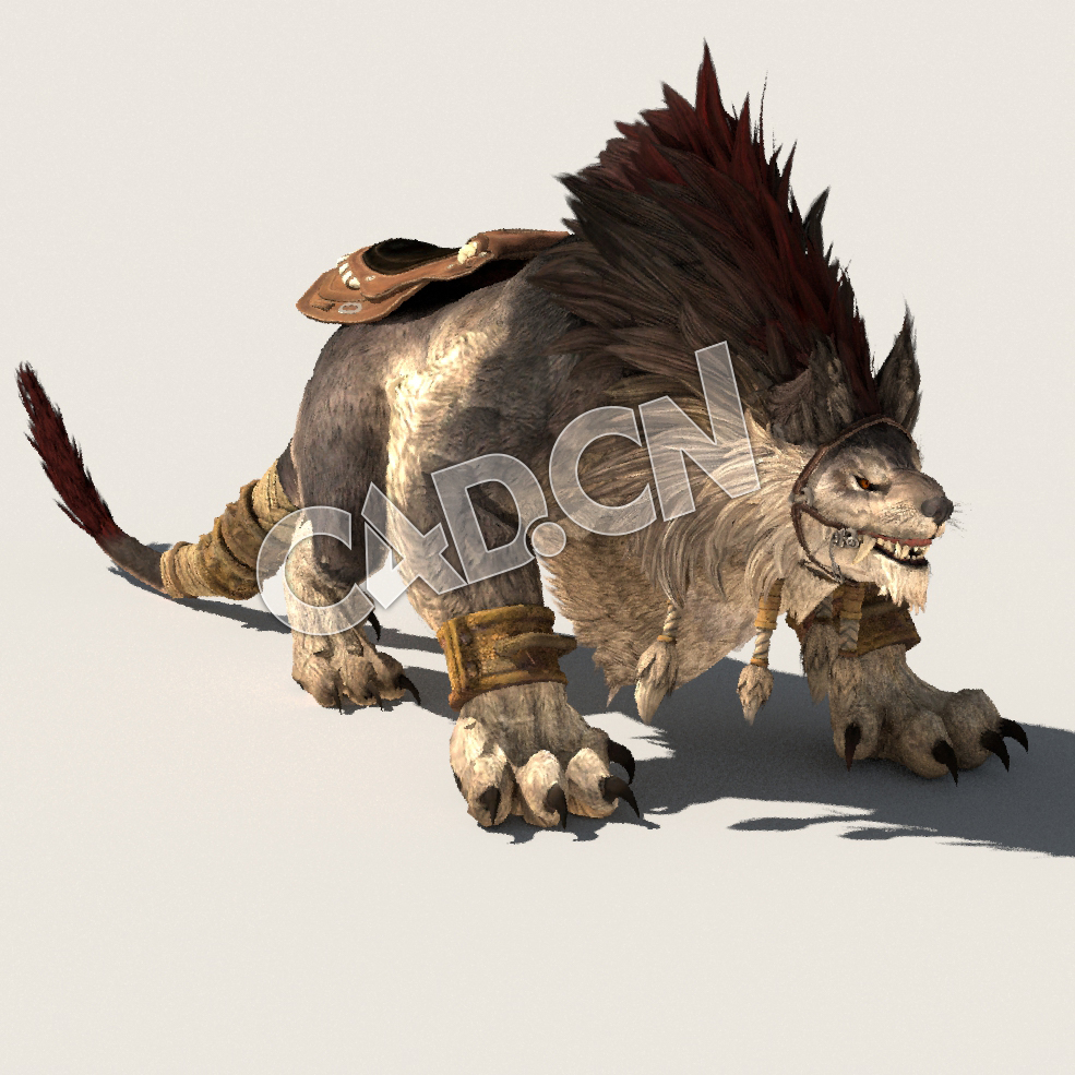 C4D狼王模型（包含骨骼绑定动画) WolfBoss_A01 3D Model - C4D之家 - 22.jpg