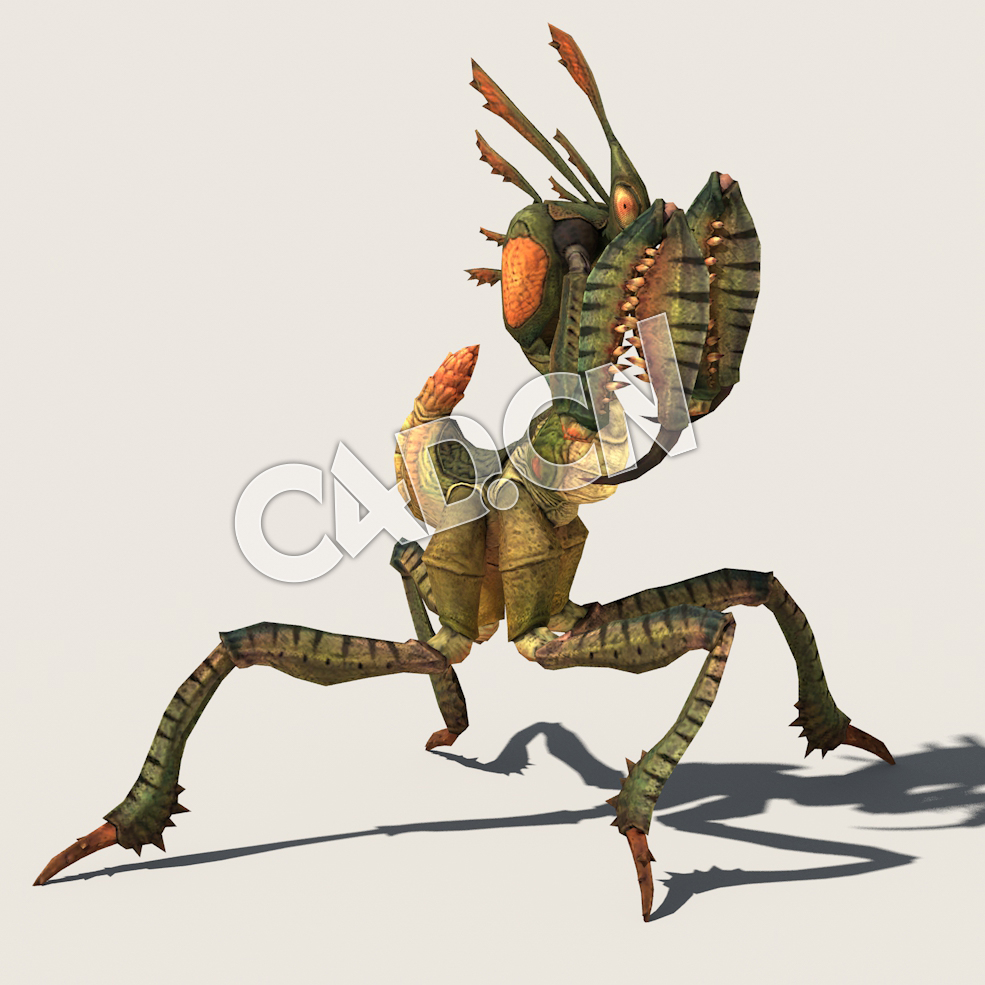 C4D螳螂模型（包含骨骼绑定动画) Mantis_A01_SK_KVN 3D Model - C4D之家 - 54.jpg