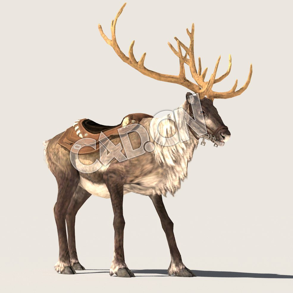 C4D行走的驯鹿模型（包含骨骼绑定动画) Reindeer_Idle 3D Model - C4D之家 - 56.jpg