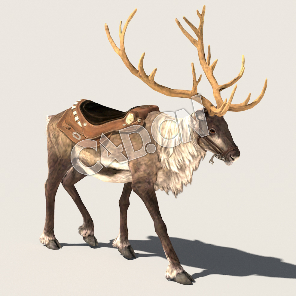 C4D驯鹿散步模型（包含骨骼绑定动画) Reindeer_Walk_F 3D Model