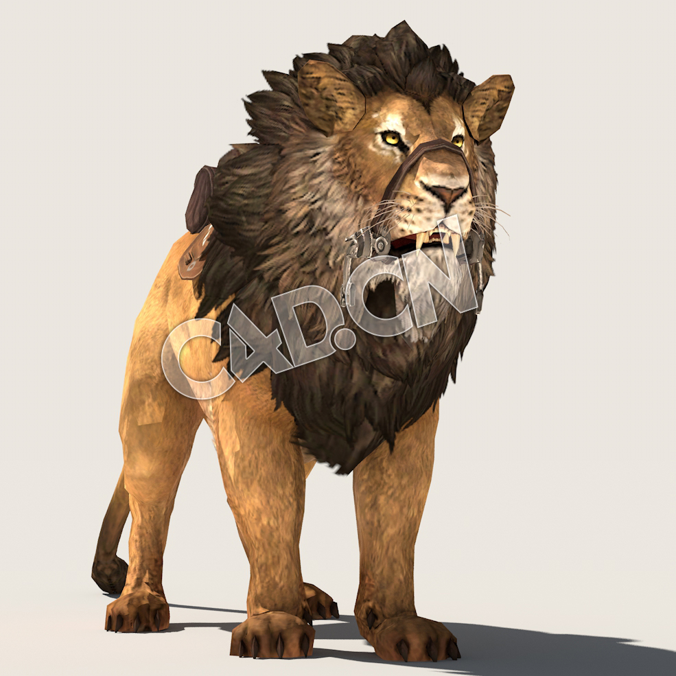 C4D狮子行走模型（包含骨骼绑定动画) Lion_Idle 3D Model