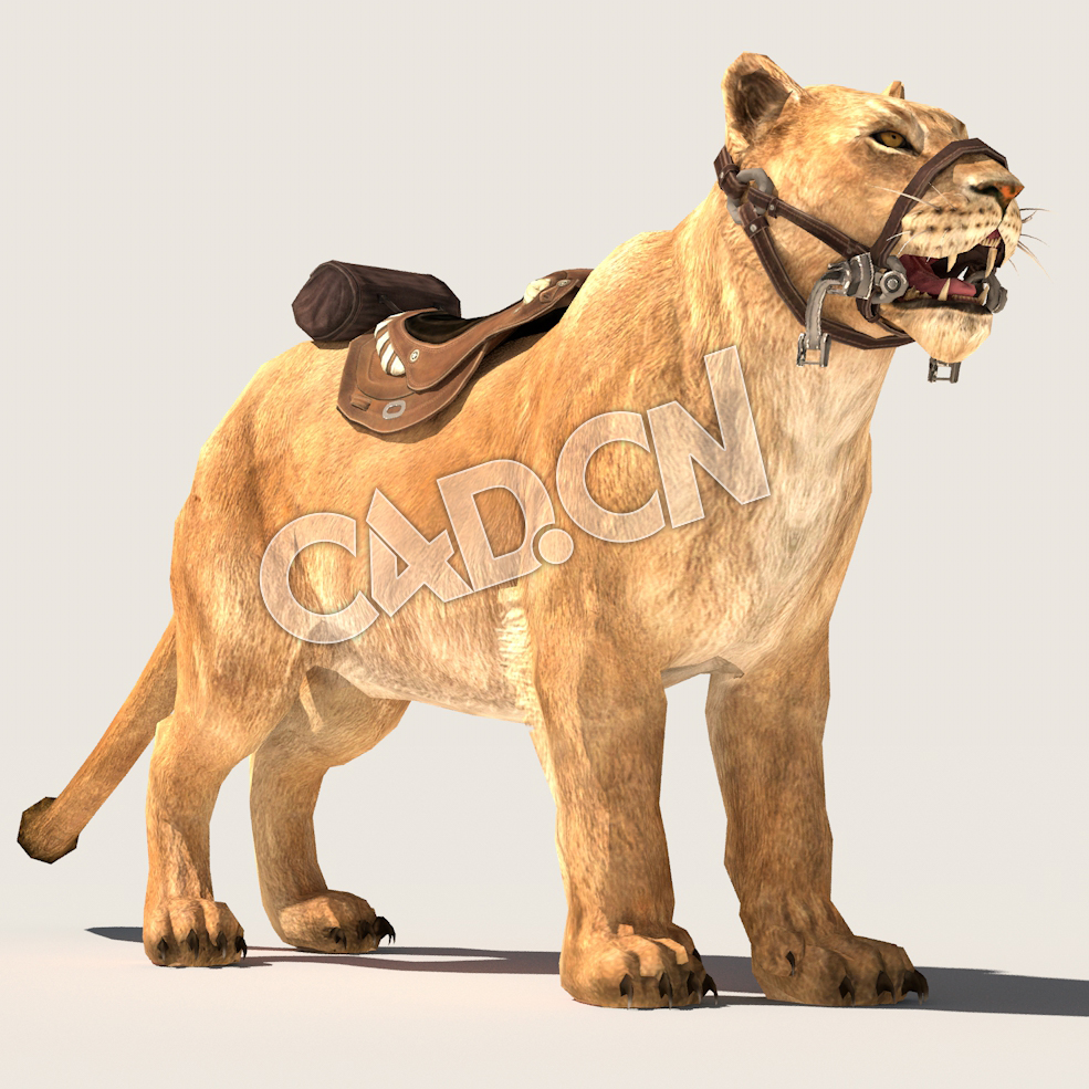 C4D狮子母狮雌狮模型（包含骨骼绑定动画) lioness_Idle 3D Model