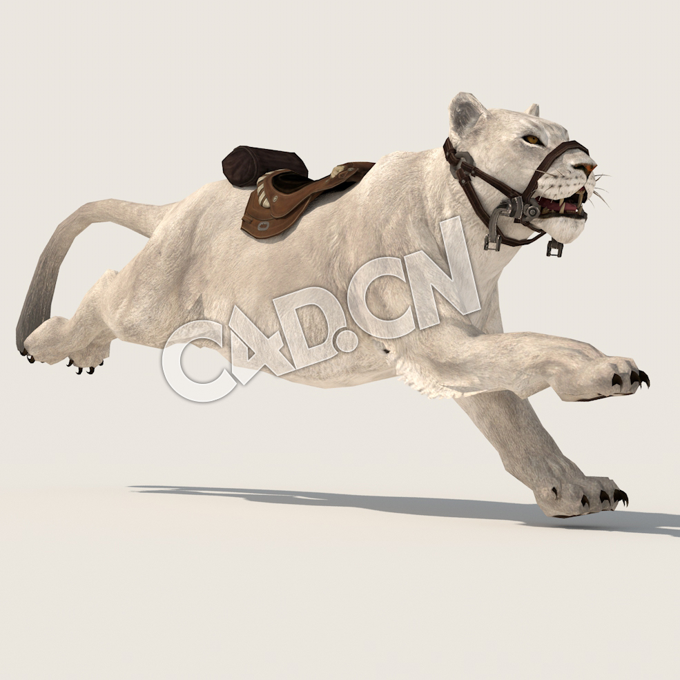 C4D雌狮母狮子奔跑模型（包含骨骼绑定动画) lioness_Run_F 3D Model