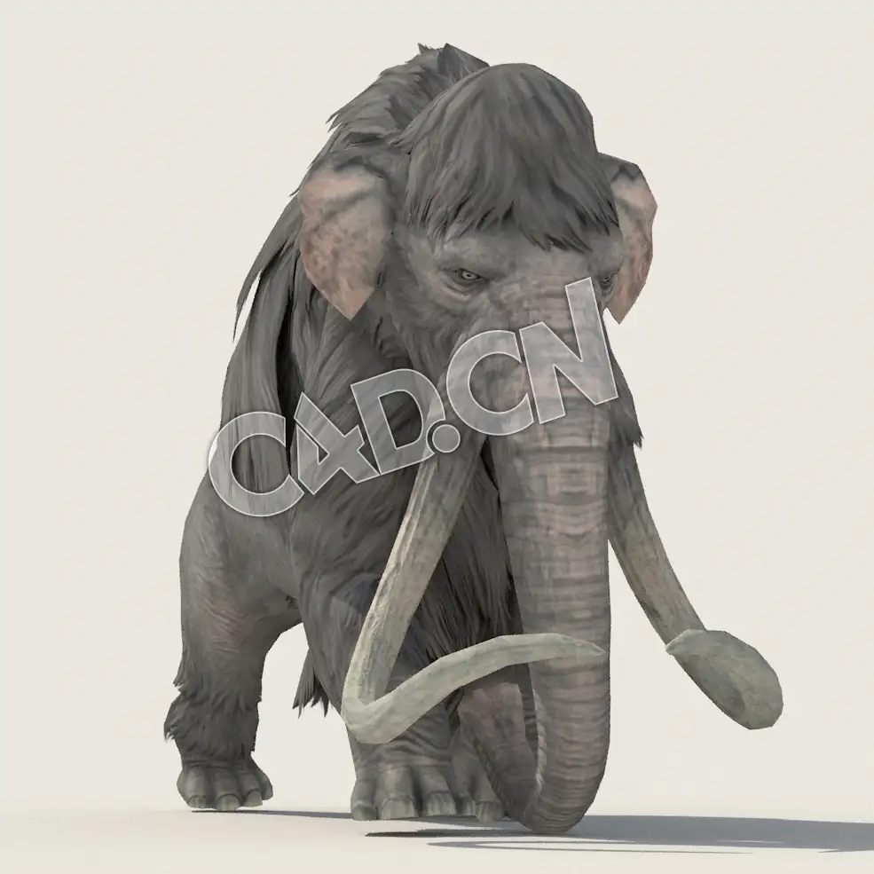 C4D猛犸象模型（包含骨骼绑定动画) Mammoth_Run_F 3D Model