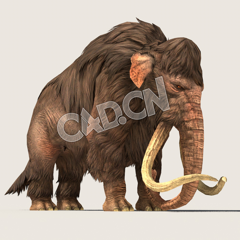 C4D猛犸象模型（包含骨骼绑定动画) Mammoth_Idle 3D Model