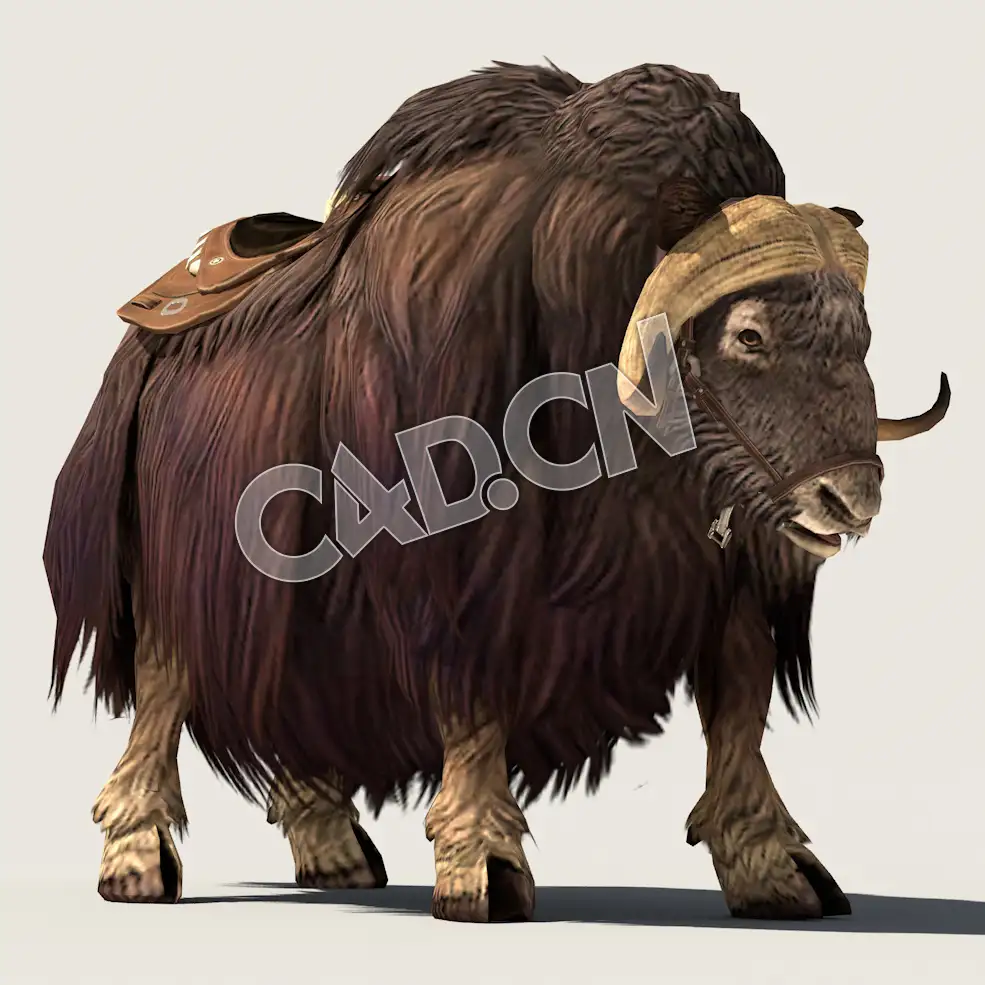 C4D麝牛行走闲逛模型（包含骨骼绑定动画) MuskCow_Idle 3D Model