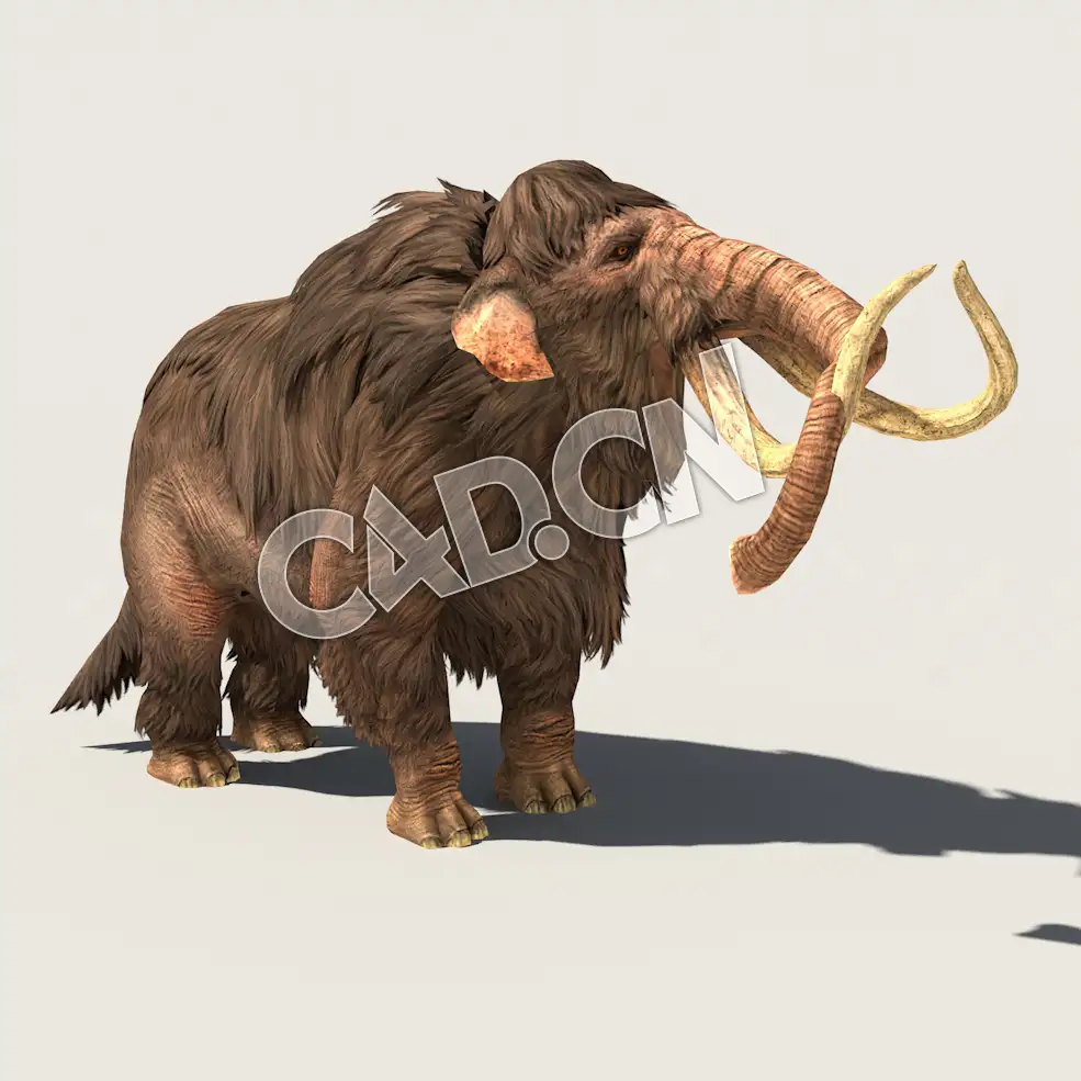 C4D猛犸象模型（包含骨骼绑定动画) Mammoth_Special 3D Model