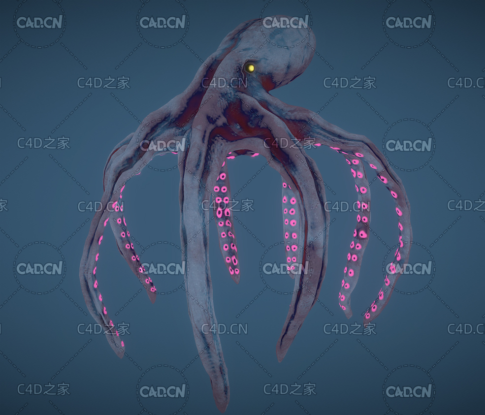 C4D乌贼动画模型（含动画绑定）kraken