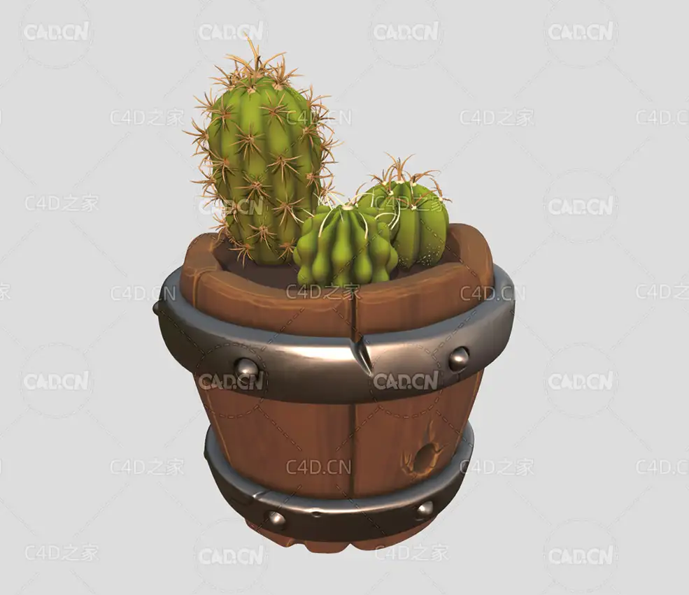 C4D仙人球盆栽植物模型 cacti - C4D之家 - 52.jpg