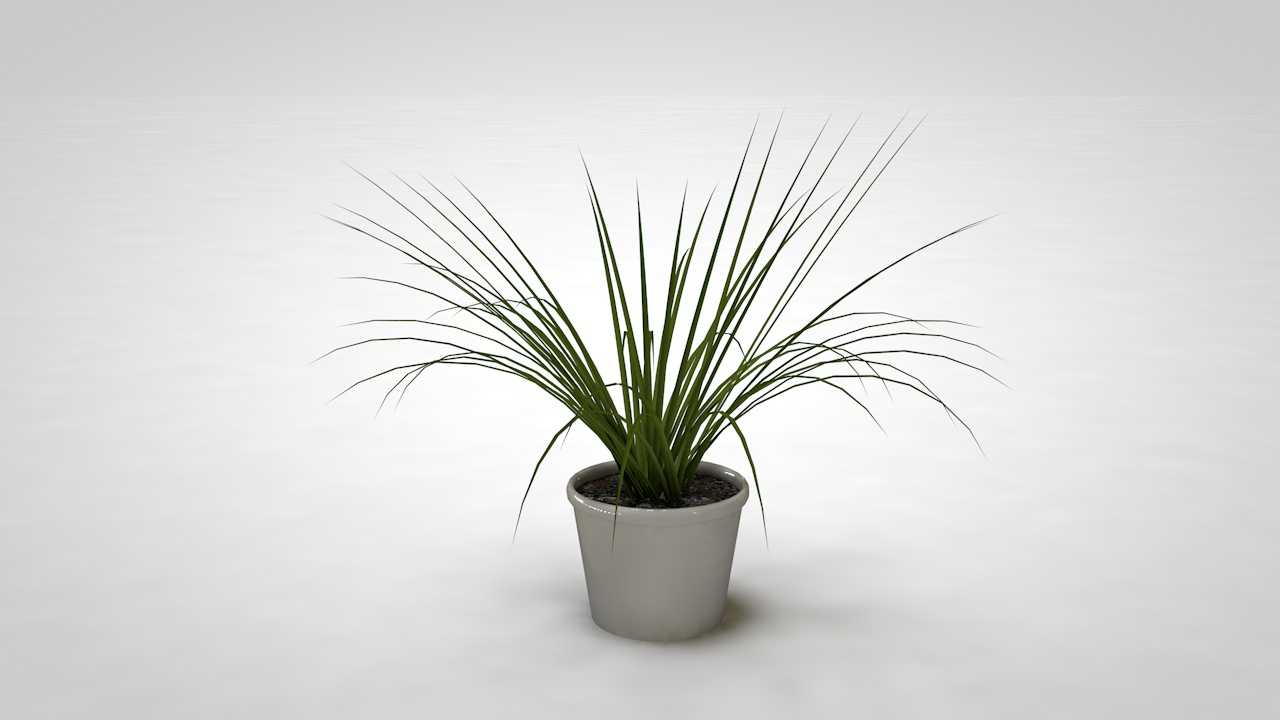 无名茶室（8）C4D室内家居茶室书房盆景兰花建模方法和模型 - C4D之家 - orchid.jpg