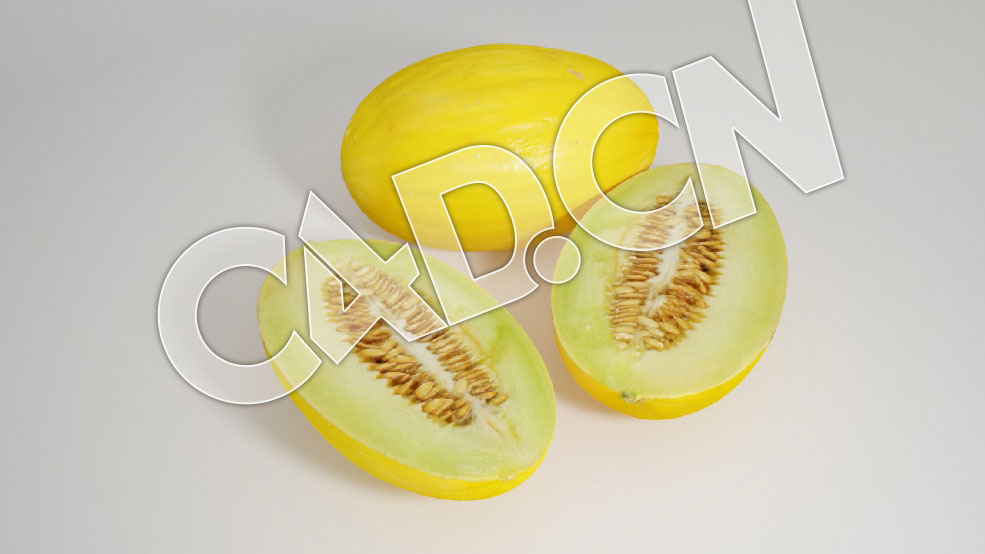 C4D蜜瓜香瓜水果模型 Honeydew Melon 3d Model