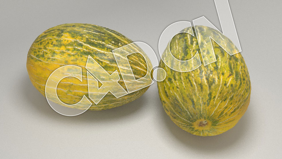 C4D甜瓜香瓜蜜瓜水果模型 Futuro Melon 3d Model