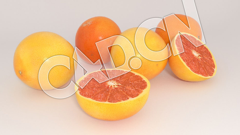 C4D柚子水果模型 Grapefruits 3d Model