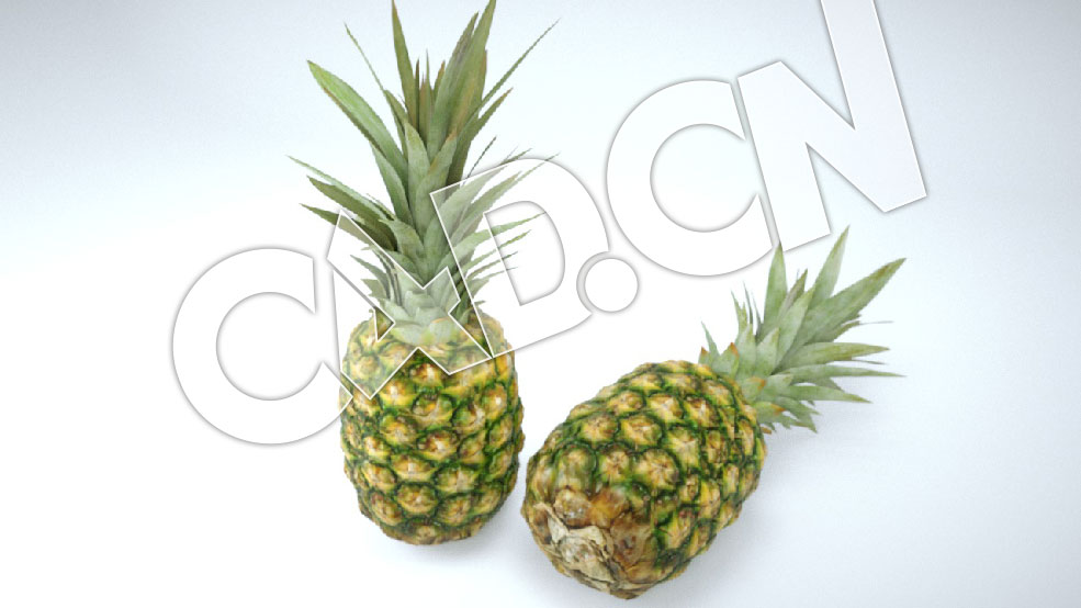 C4D菠萝水果模型 Pineapple 3d Model
