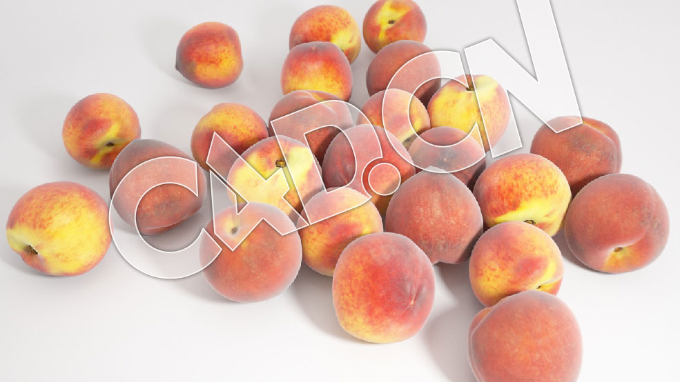 C4D成熟的红桃子水果模型 Peaches 3d Model