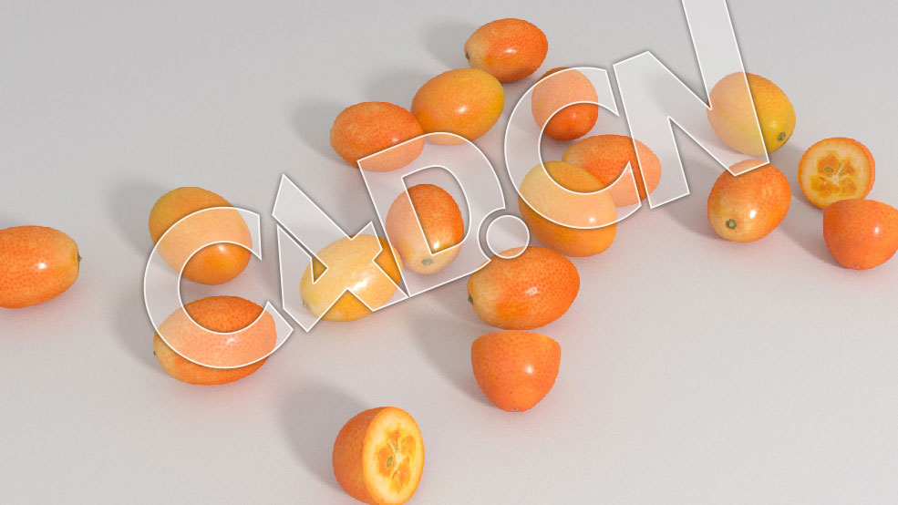 C4D金橘水果模型 Qumquats 3d Model - C4D之家 - VP-Qumquats-(corona)-02.jpg