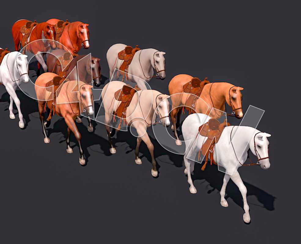 C4D马匹骏马动物马鞍模型 horse