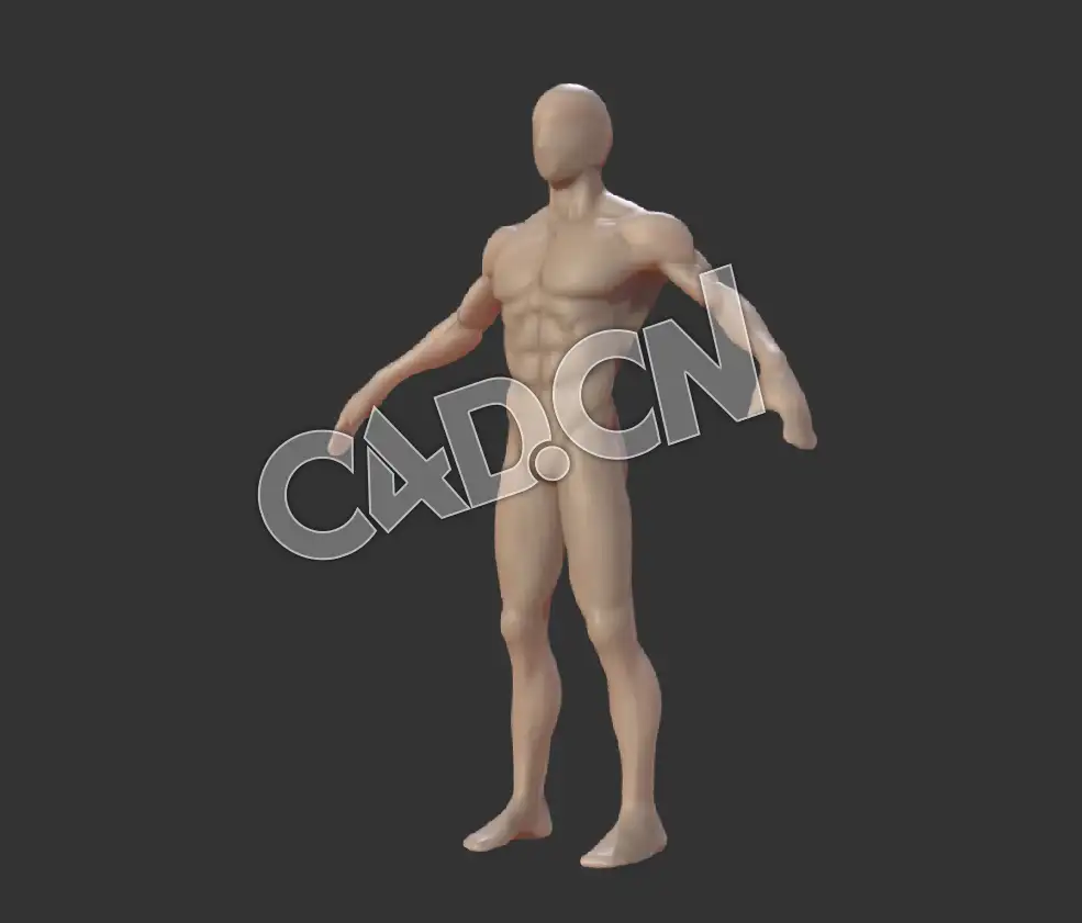 C4D健硕的男性人体模型 Anatomy Basemesh Human Male Body Model Sculpture