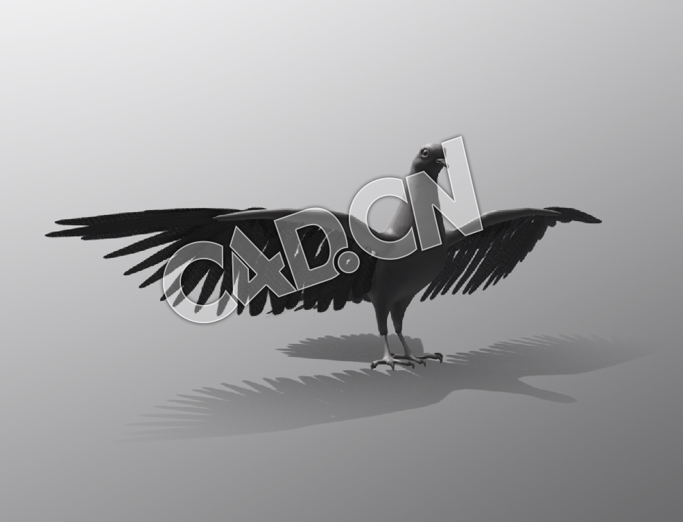 C4D鸽子模型 Game Asset Pegion