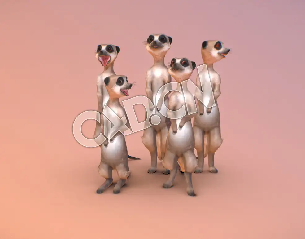 C4D猫鼬模型 Meerkat - C4D之家 - 89-Meerkat.jpg