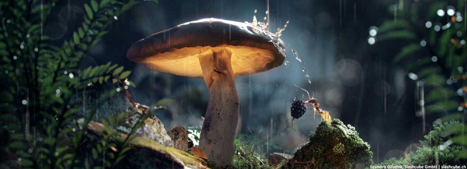 中文汉化版C4D实时交互渲染器插件Corona Renderer 6 Hotfix 2 for Cinema 4D R14-S24 - C4D之家 - 1-3da484f08d.jpg