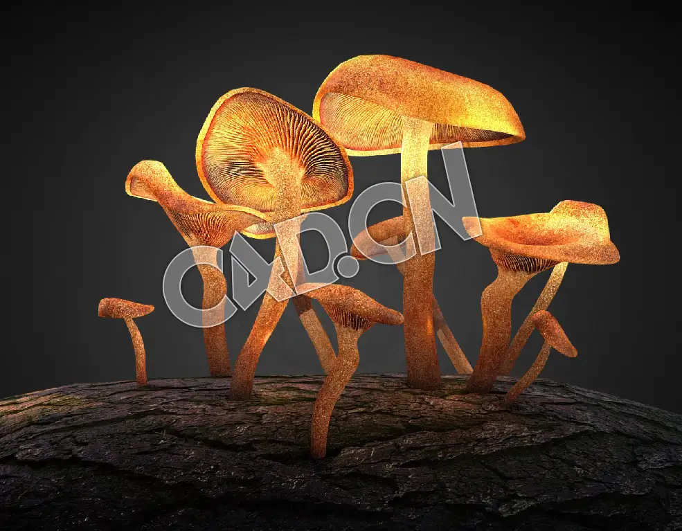 C4D树上的蘑菇模型 Mushroom on Tree_Baked Lighting Map - C4D之家 - 101-Mushroom on Tree_Baked Lighting Map.jpg