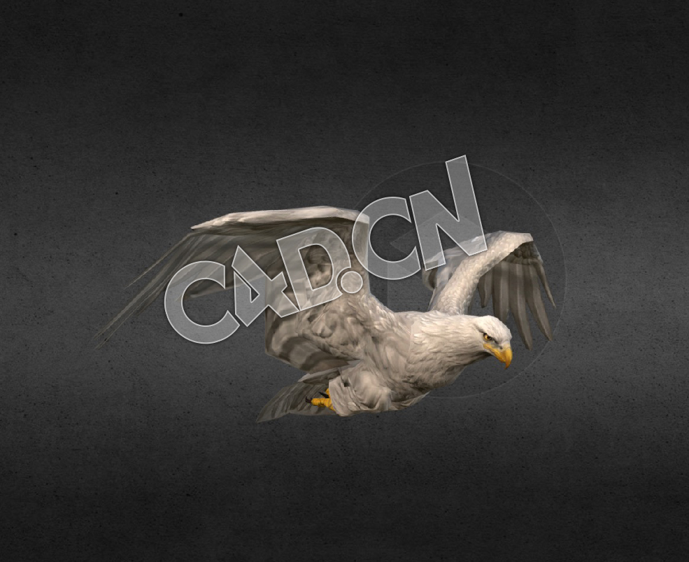 C4D飞翔的老鹰绑定动画模型 White Eagle Animation Fast Fly 1