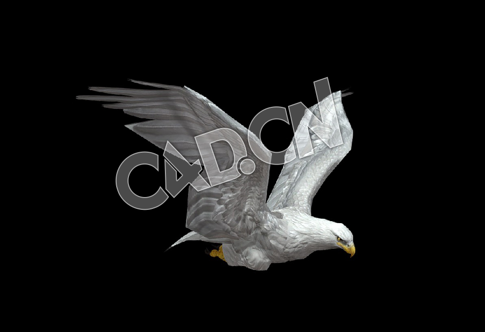 C4D白鹰动画模型 White Eagle Animation Fast Fly 2 - C4D之家 - 149-White Eagle Animation Fast Fly-2.jpg