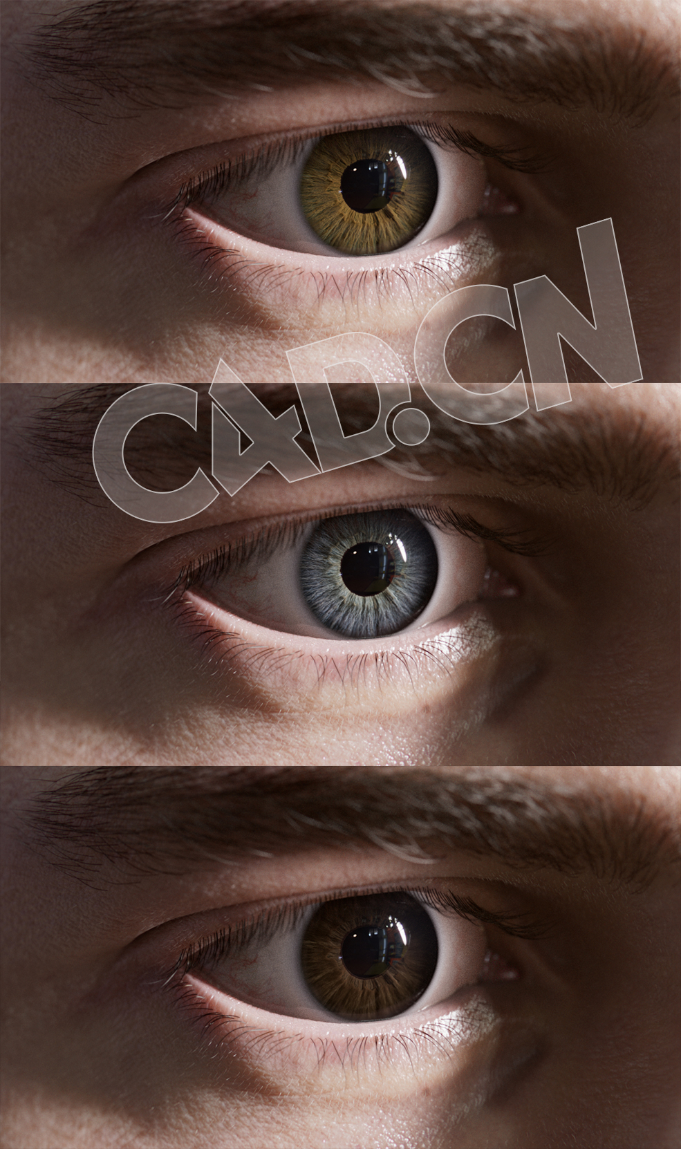 高精度眼睛虹膜瞳孔模型贴图素材TexturingXYZ - Multi-channel Iris #100 - C4D之家 - 未标题-1.jpg