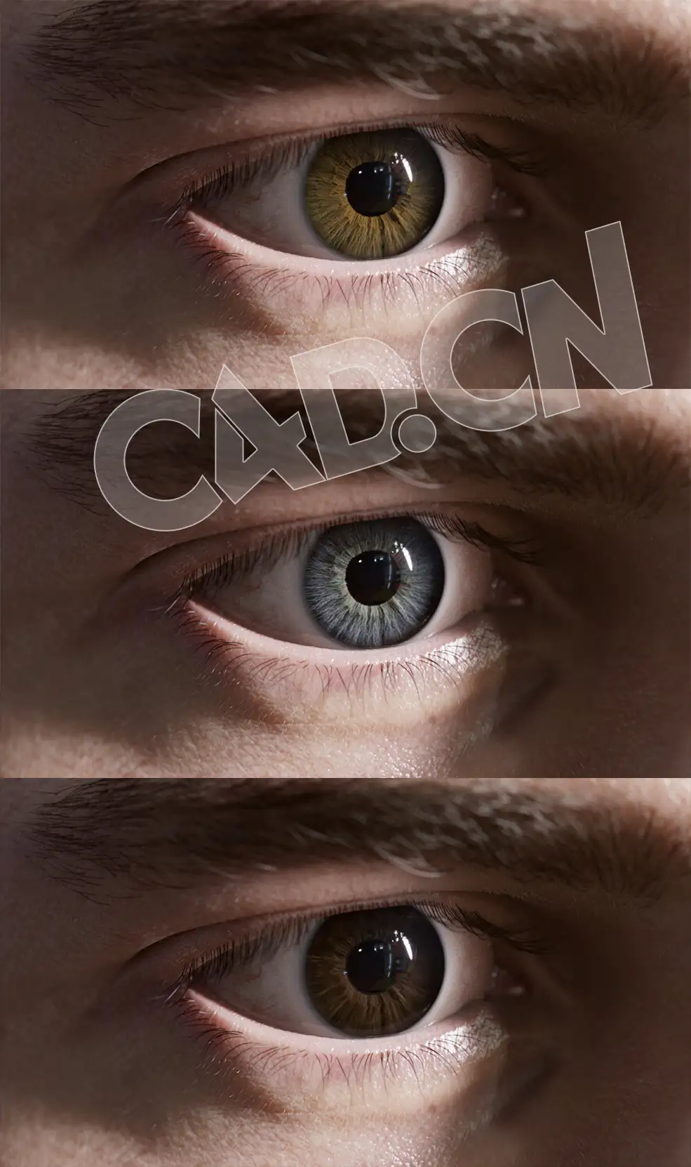 高精度眼睛虹膜瞳孔模型贴图素材TexturingXYZ - Multi-channel Iris #100 - C4D之家 - 未标题-1.jpg