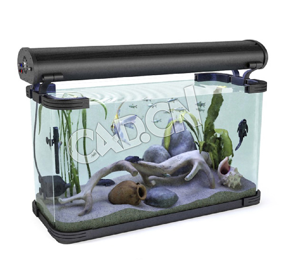 大型水族箱观赏鱼缸C4D模型