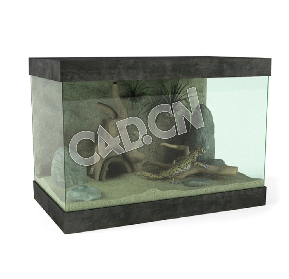 壁虎饲养箱蜥蜴养殖箱C4D模型 - C4D之家 - 22.jpg
