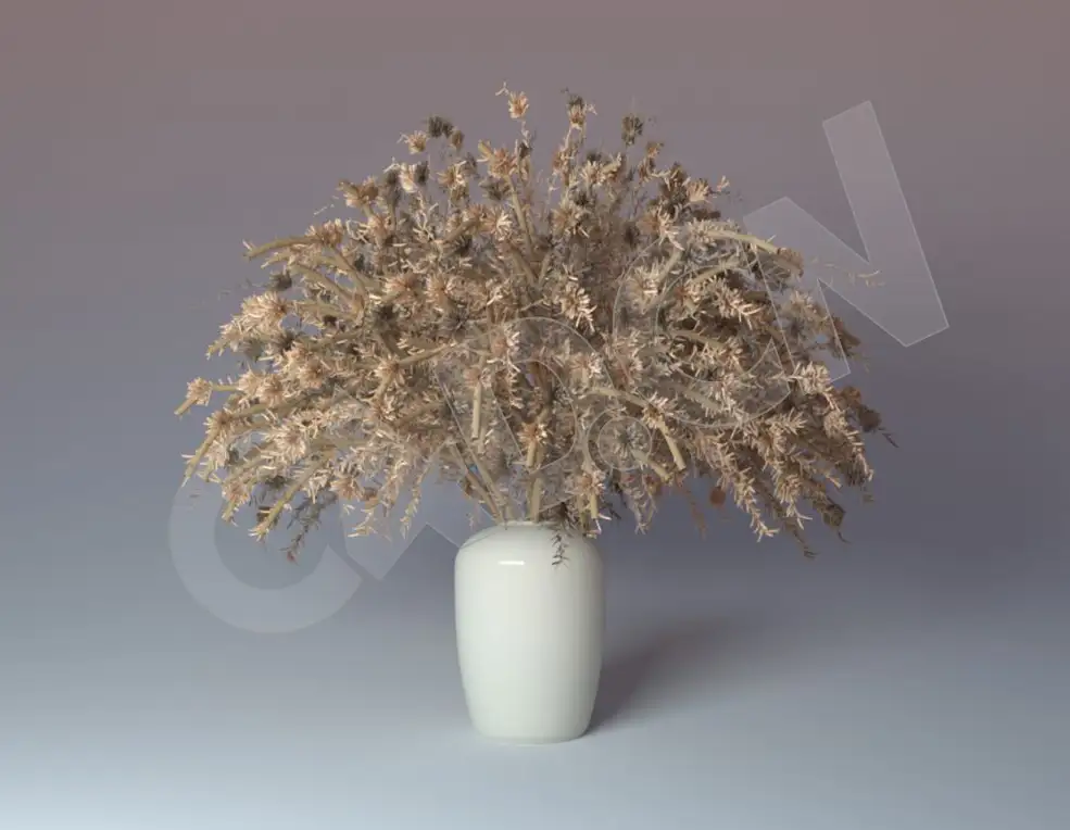 C4D插花植物潘帕斯草模型 Cinema 4D 3D Model Pampas House Plant