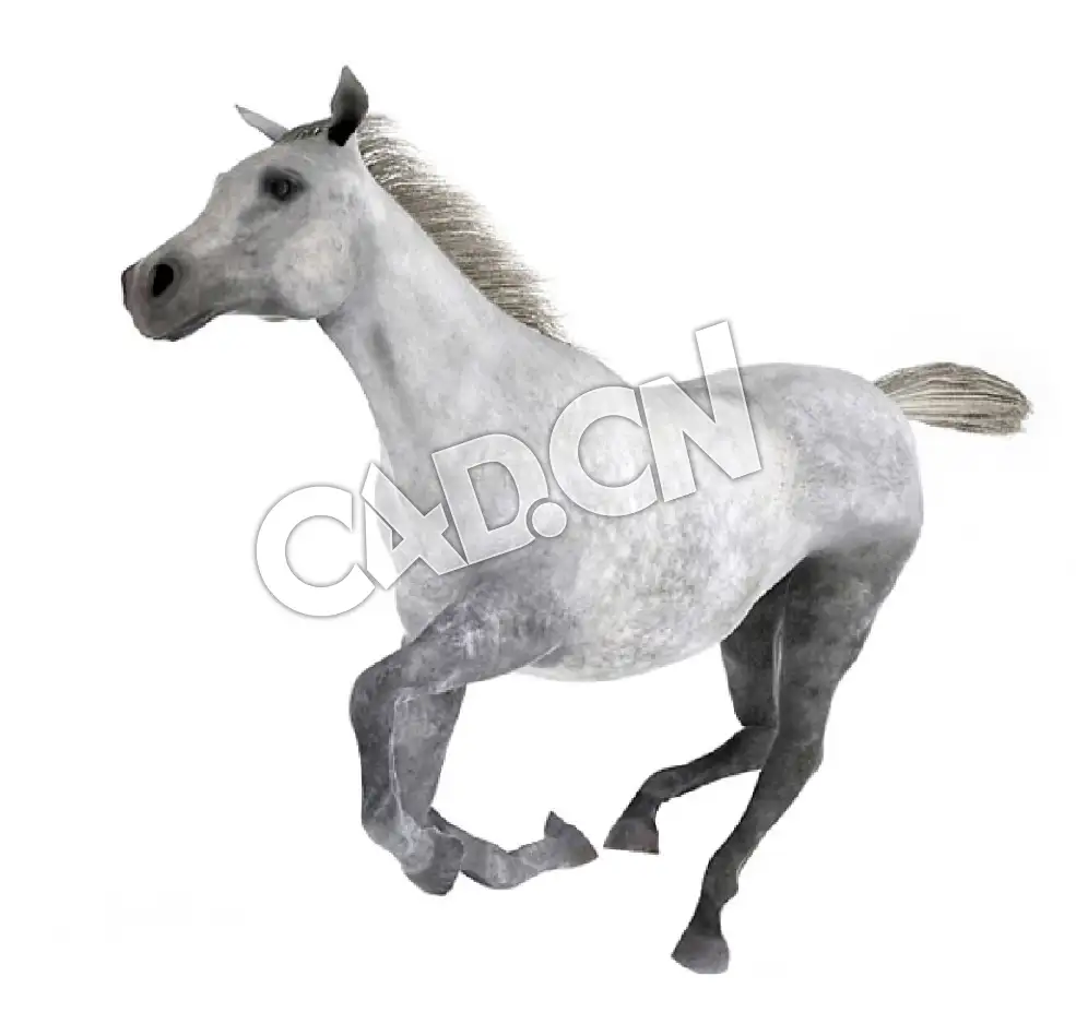 奔跑的马灰色马C4D模型