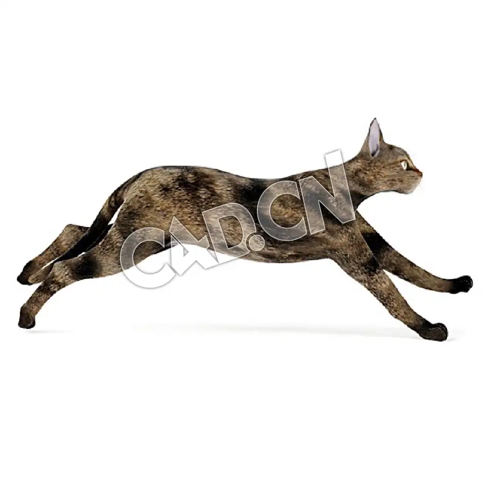 奔跑的塞伦盖蒂猫C4D模型 - C4D之家 - 48.jpg