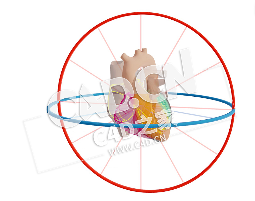 C4D心脏近端梗死左主导分心模型 Proximaal CX Infarct Links Dominant +Afleidingen - C4D之家 - 05.jpg