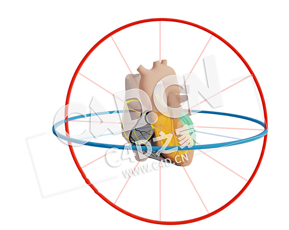 C4D心脏RCA近端阻塞模型 Proximaal infarct RCA met Afleidingen - C4D之家 - 08.jpg