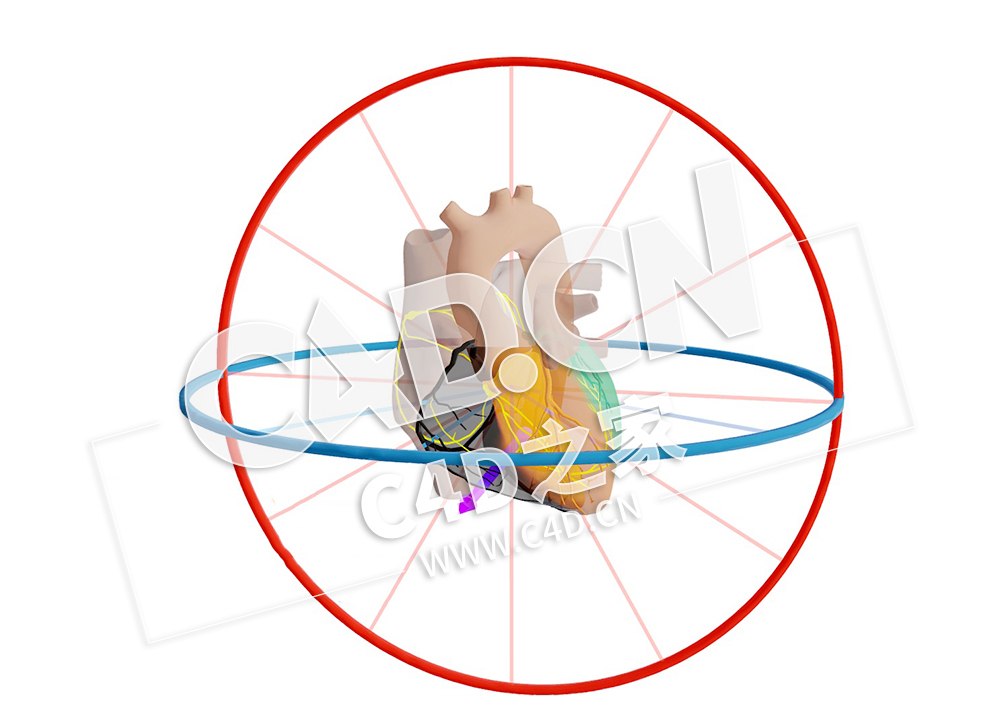 C4D心脏RCA 梗塞与干扰和载体模型 RCA Infarct met Afleidingen en Vector - C4D之家 - 10.jpg